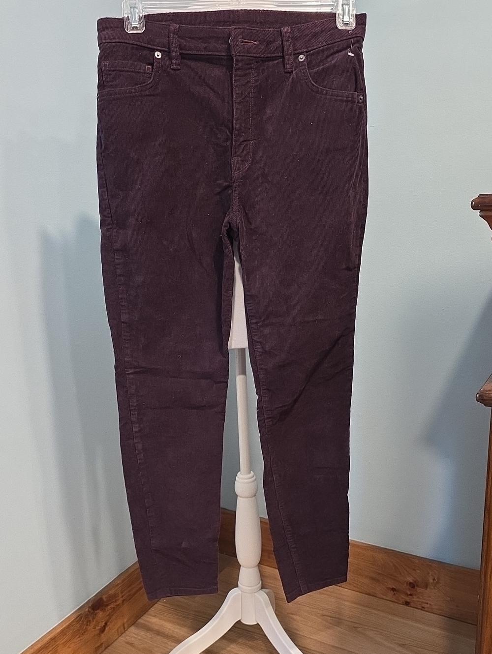 Patagonia Eggplant Colored Cords 30